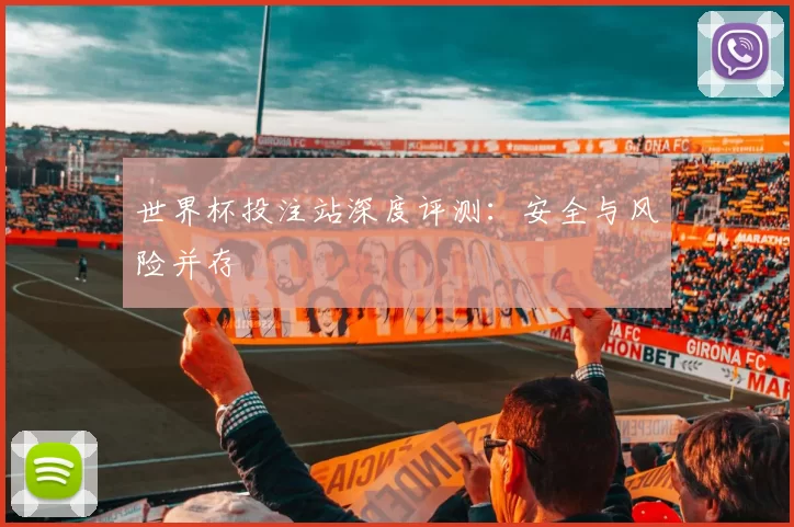 世界杯投注站深度评测:安全与风险并存