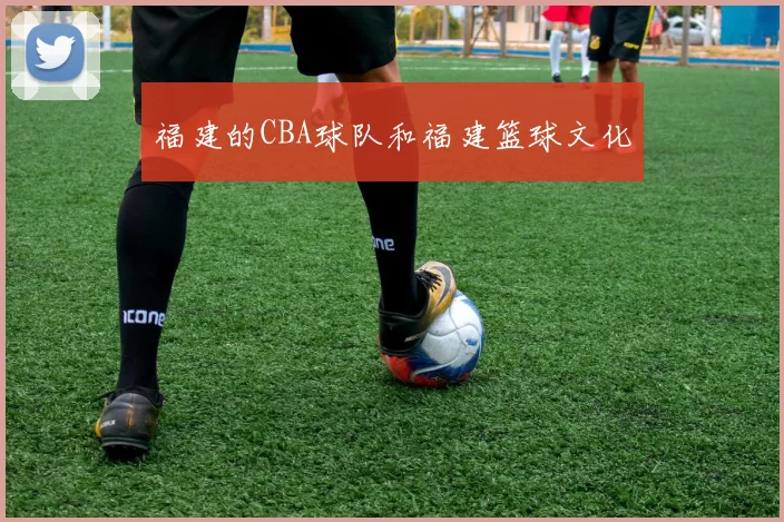 福建的CBA球队和福建篮球文化
