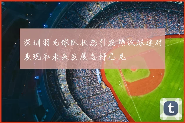 深圳羽毛球队状态引发热议球迷对表现和未来发展各抒己见