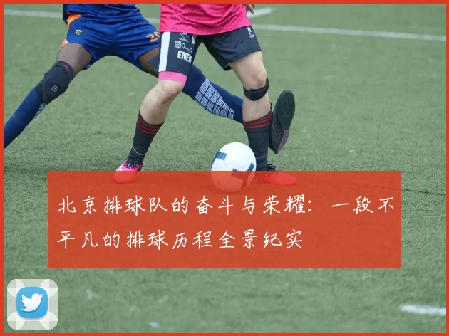 北京排球队的奋斗与荣耀：一段不平凡的排球历程全景纪实