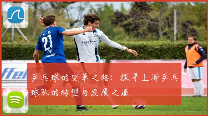 乒乓球的变革之路：探寻上海乒乓球队的转型与发展之道