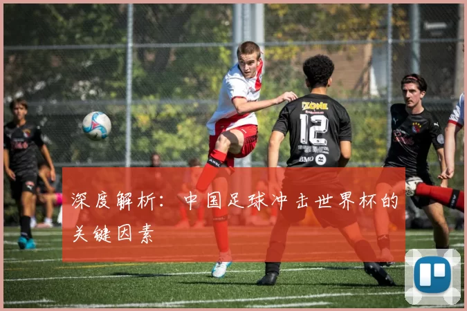 深度解析:中国足球冲击世界杯的关键因素