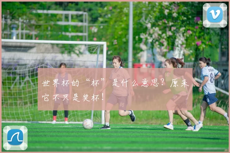 世界杯的“杯”是什么意思?原来它不只是奖杯!