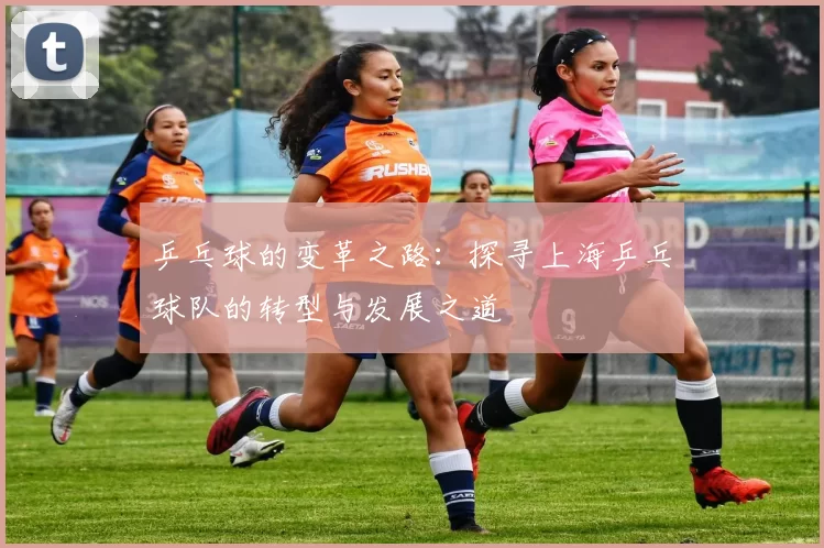 乒乓球的变革之路：探寻上海乒乓球队的转型与发展之道