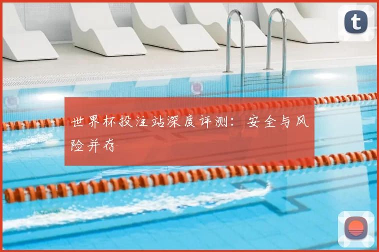 世界杯投注站深度评测:安全与风险并存