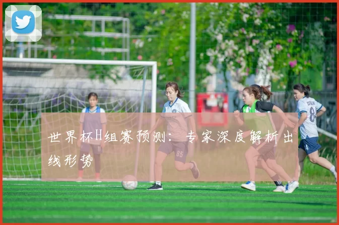世界杯H组赛预测:专家深度解析出线形势