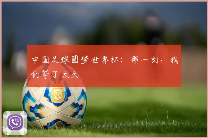 中国足球圆梦世界杯:那一刻,我们等了太久