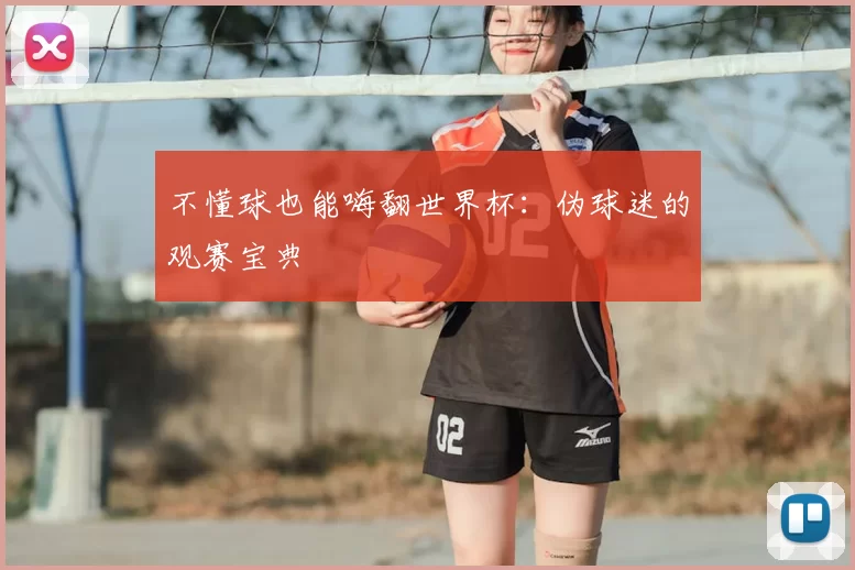 不懂球也能嗨翻世界杯:伪球迷的观赛宝典